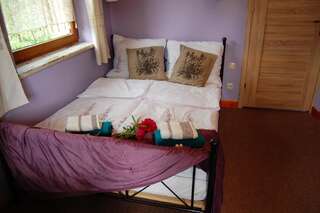 Отели типа «постель и завтрак» Pokoje Gościnne Pod Ciupagą Буковина-Татшаньска Двухместный номер с 1 кроватью и собственной ванной комнатой-8